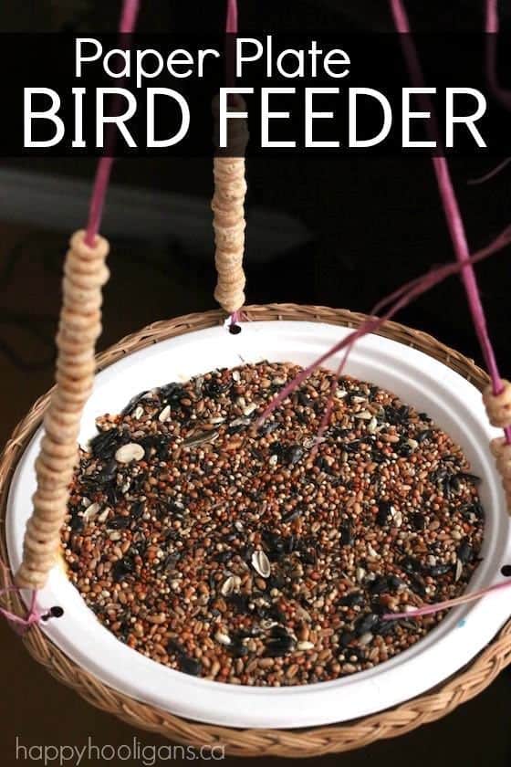 PAPER PLATE FEEDER