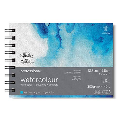 Winsor & Newton Professional Watercolor Paper, Wired, 5' x...