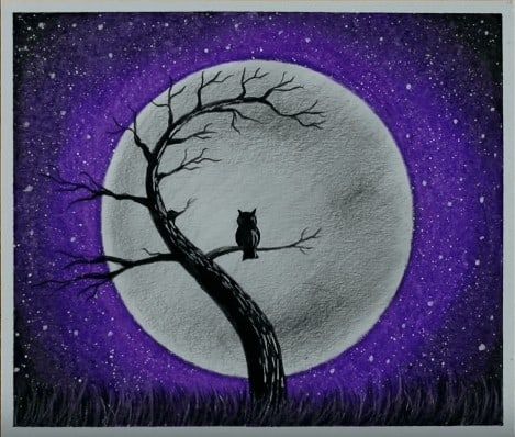Owl And The Moon