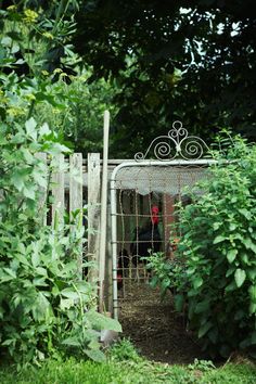 Insanely Beautiful DIY Upcycled Garden Gates That You Will Simply Adore homesthetics recycling windows and doors (8)